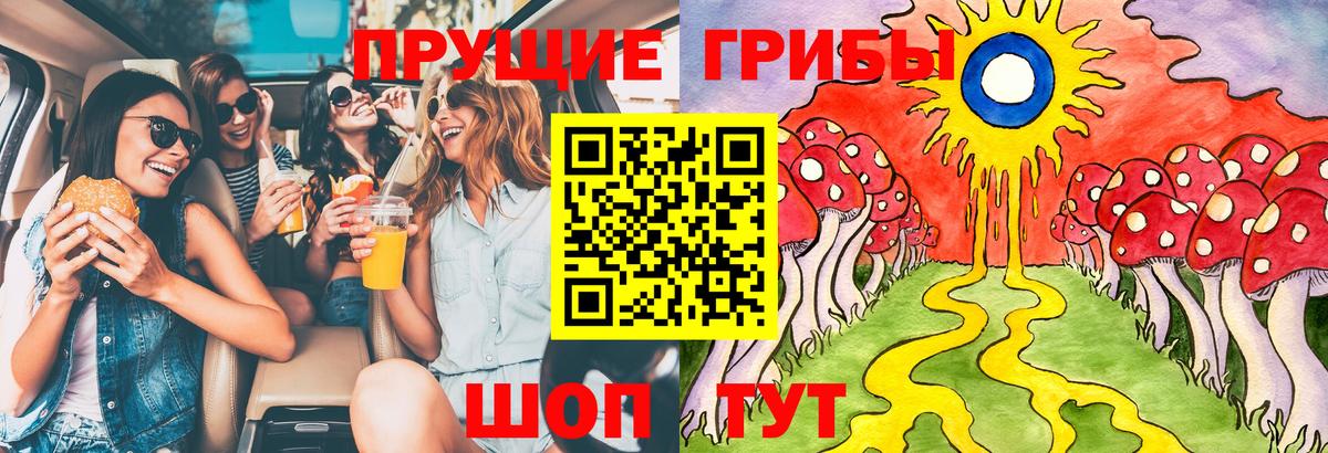 Галлюциногенные грибы ЛСД Каменск-Шахтинский