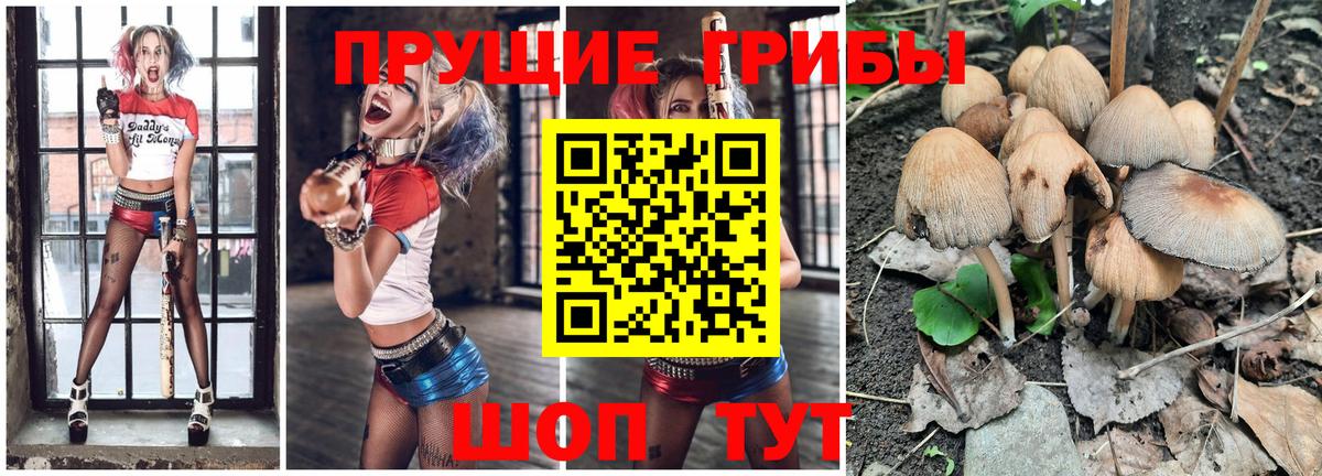 Галлюциногенные грибы MAGIC MUSHROOMS  Вход с VPN  Каменск-Шахтинский 